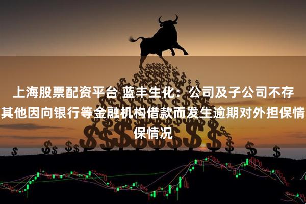 上海股票配资平台 蓝丰生化：公司及子公司不存在其他因向银行等金融机构借款而发生逾期对外担保情况