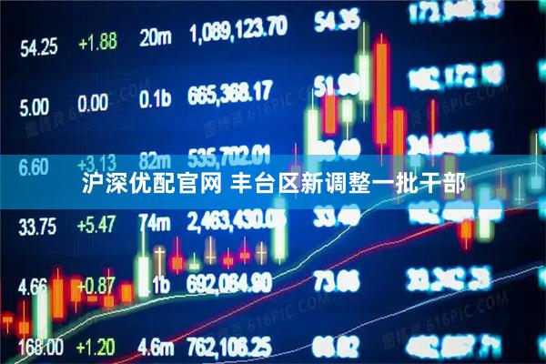 沪深优配官网 丰台区新调整一批干部
