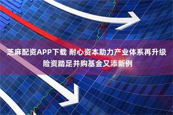 芝麻配资APP下载 耐心资本助力产业体系再升级 险资踏足并购基金又添新例