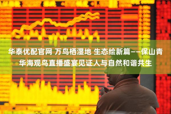 华泰优配官网 万鸟栖湿地 生态绘新篇——保山青华海观鸟直播盛宴见证人与自然和谐共生