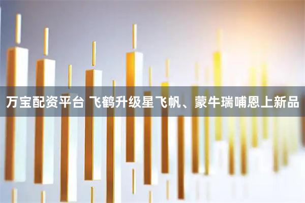 万宝配资平台 飞鹤升级星飞帆、蒙牛瑞哺恩上新品