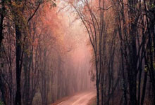 怎么融资杠杆炒股:股票配资导航-被裁定大部分关税“非法”！特朗普政府打到最高法 前景如何？输了要赔光？