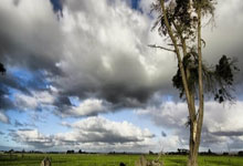 股票配资开户僖简配资:配资平台投资-东方财富财经早餐 9月2日周二