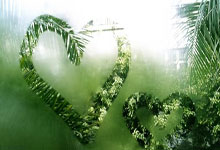 杠杆原理工具有哪些:股票的收益如何-金价再创历史新高 黄金概念股大涨 机构：仍有上涨空间