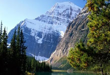 推荐股票的app:股市加杠杆怎么申请-楼面价20万/㎡！神秘女富豪放大招