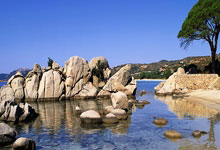 如何手机买股票:新手只能买哪些股票-获软银20亿美元“输血” 英特尔仍站在十字路口 代工业务去留存悬念